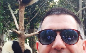 Pandas